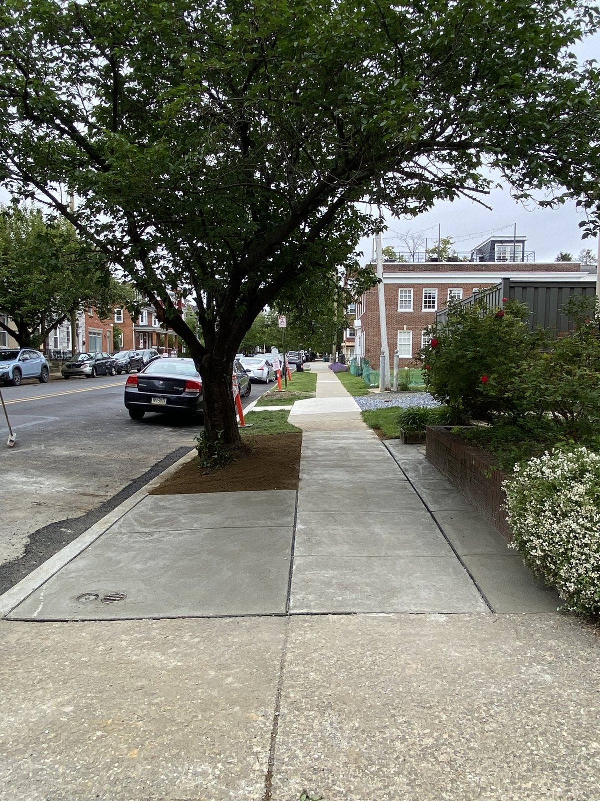 Neighborhood sidewalk completed by T-Bones Concrete